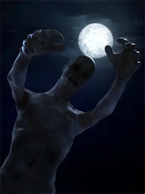 女神的贴身护卫小说免费阅读全文